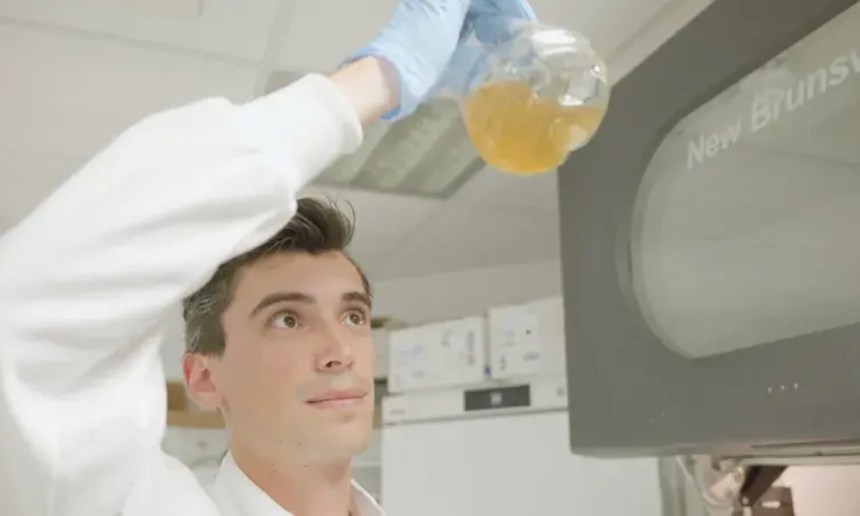 Microbe can turn plastic waste into paracetamol, study shows post thumbnail image